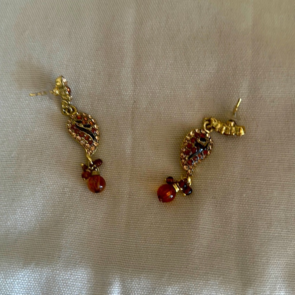 Earrings from India
